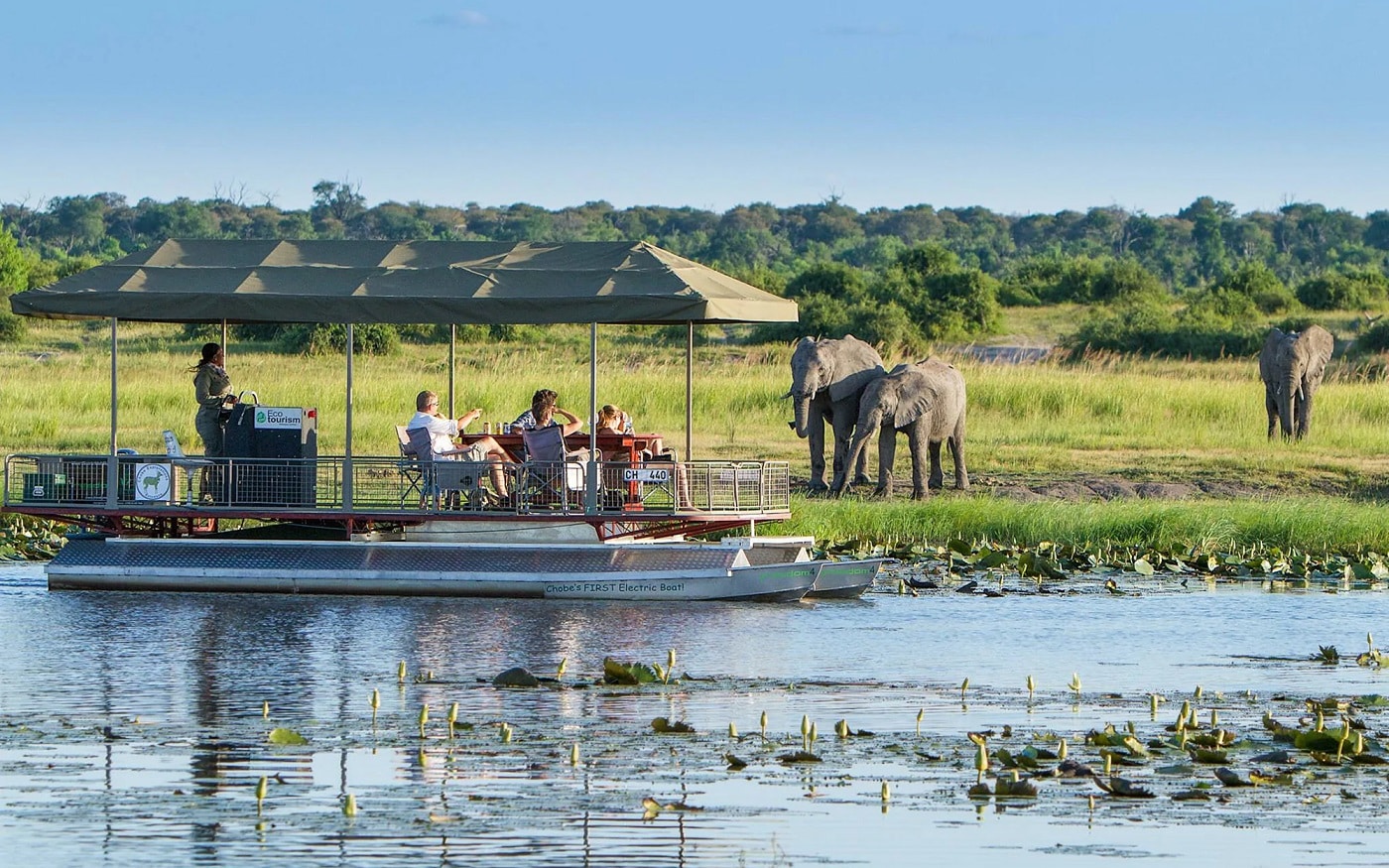 Chobe Safari
