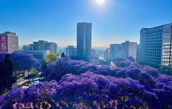 Hidden gems in Harare