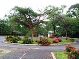 Botanical Gardens